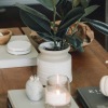 plants candles and books on a table